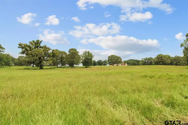 Big Sandy, TX 75755,LOT 11 TBD Private Road 3398