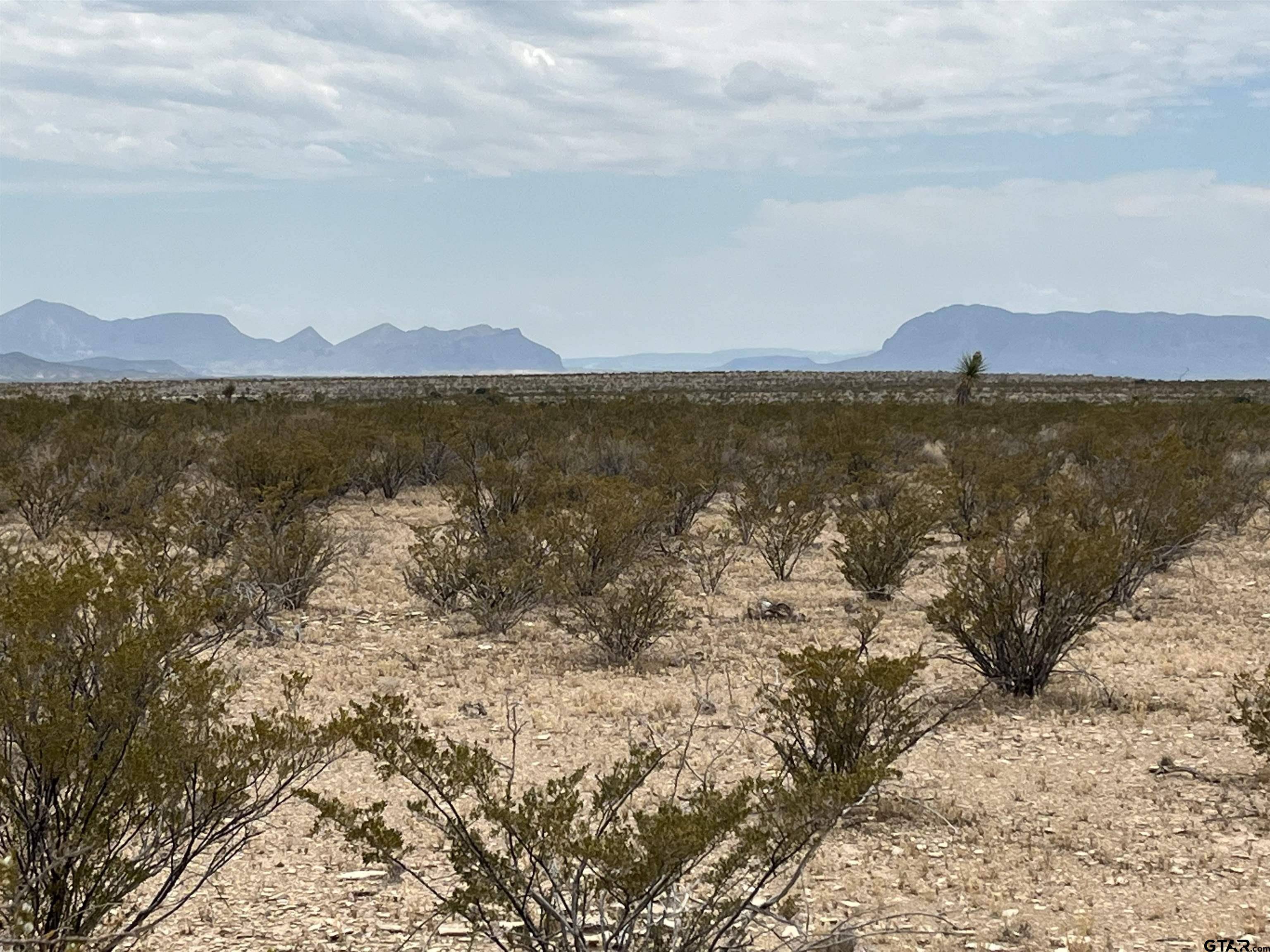 Terlingua, TX 79852,1600 Cholla @ Titan Pkwy