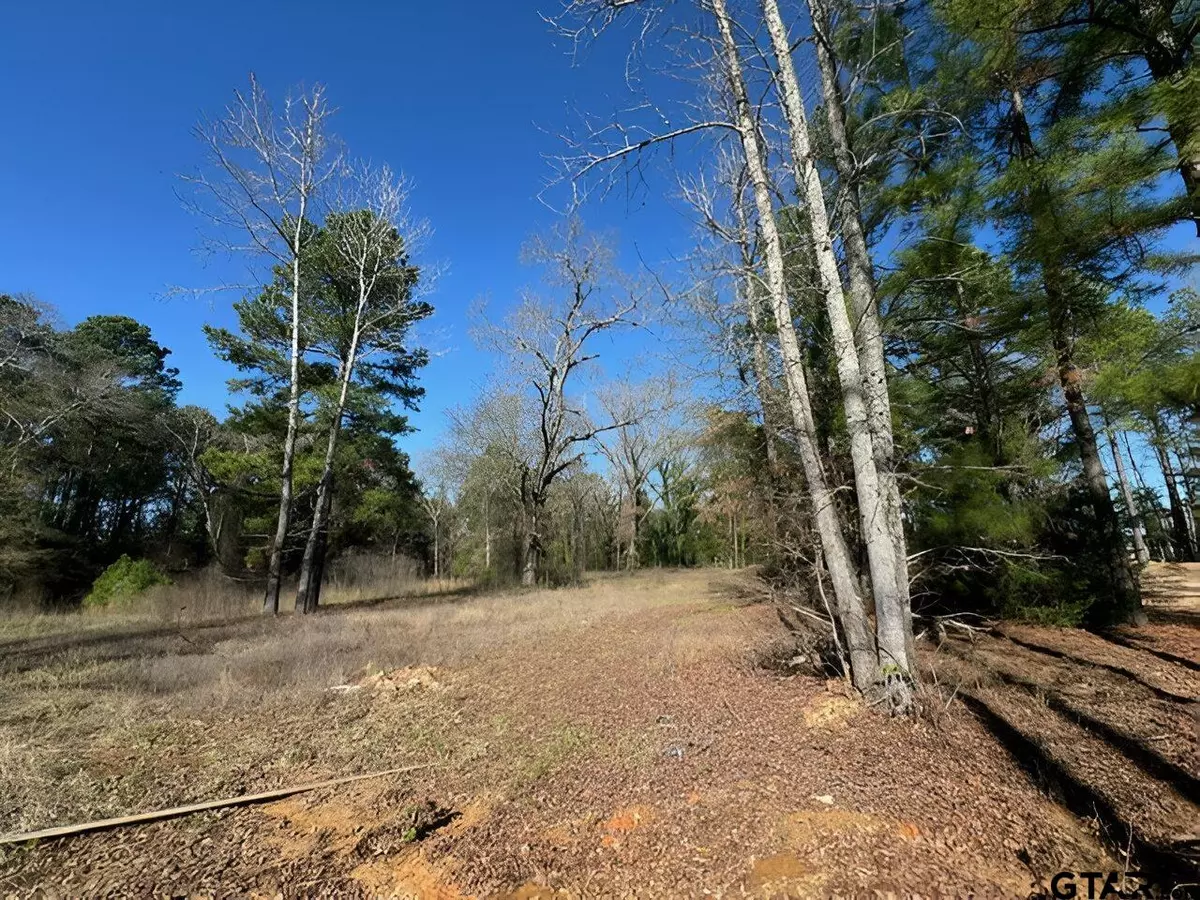 Frankston, TX 75763,Lot 4 Berrycreek Circle