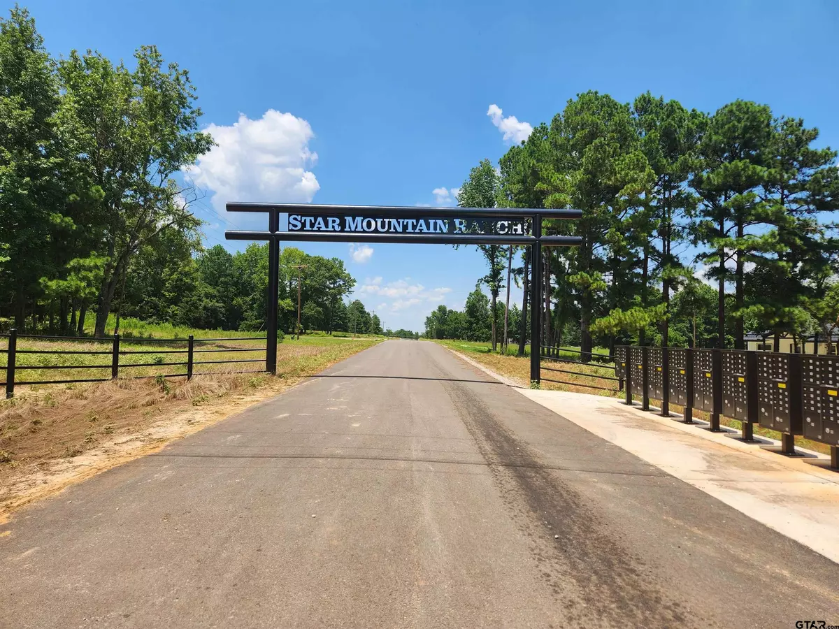 Winona, TX 75792,TBD Ridgeline Loop Lot 61