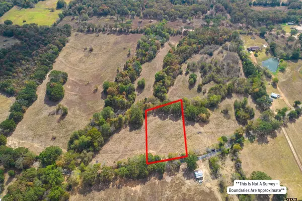 1.25 Acres NE CR 2060, Mt Vernon, TX 75457