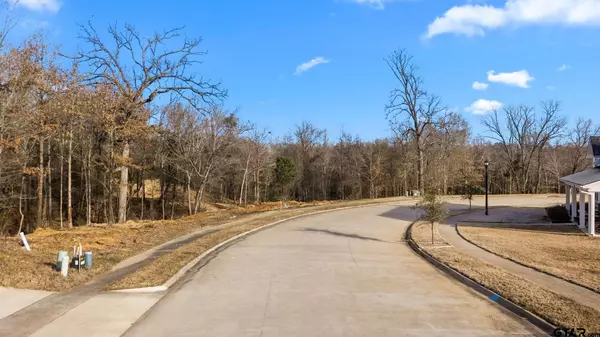 Longview, TX 75605,4229 Savannah Hills Ln (Lot 14)