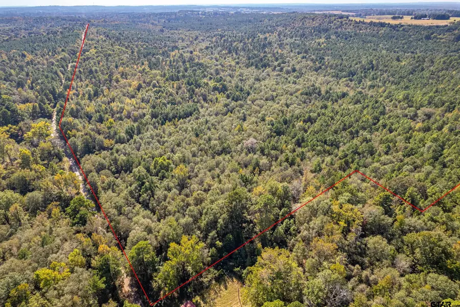00 County Rd 359, Winona, TX 75792