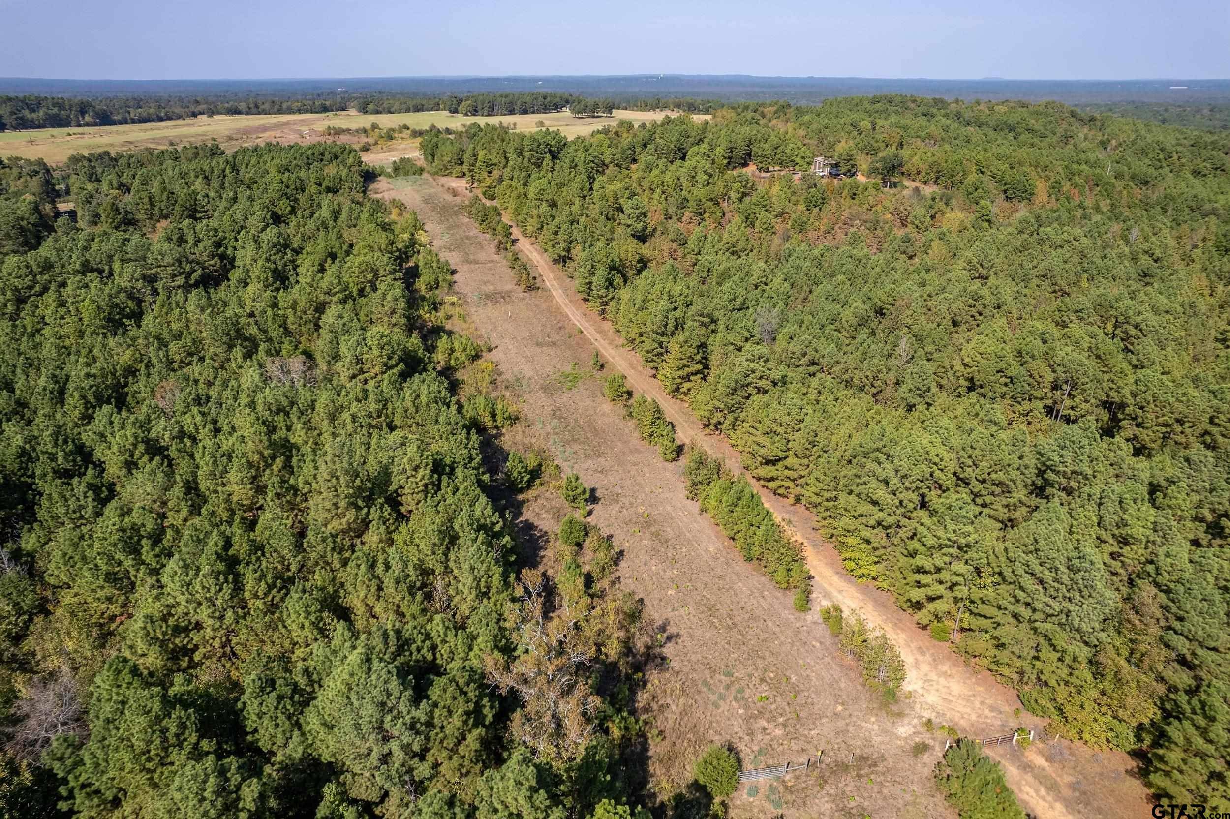 Winona, TX 75792,0 County Rd 356