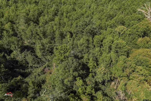 Marshall, TX 75672,TBD Cole Rd