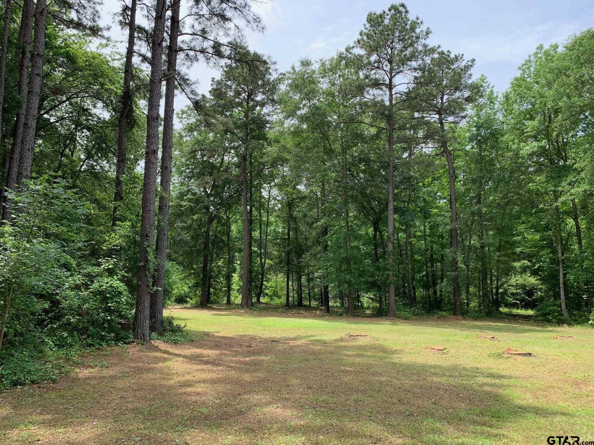 19598 County Road 2343, Troup, TX 75789