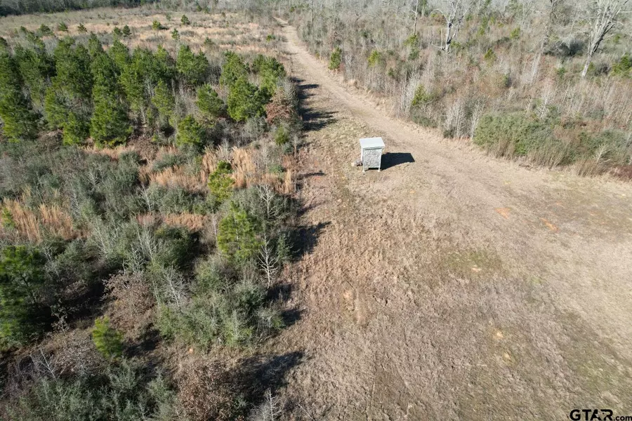 TBD-B County Road 4021, Timpson, TX 75975