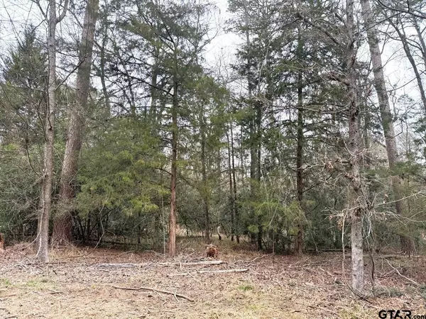 Holly Lake Ranch, TX 75765,Lots 316 & 317 Brazos Bend