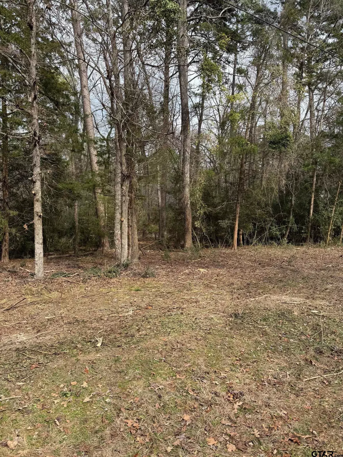 Holly Lake Ranch, TX 75765,Lots 316 & 317 Brazos Bend