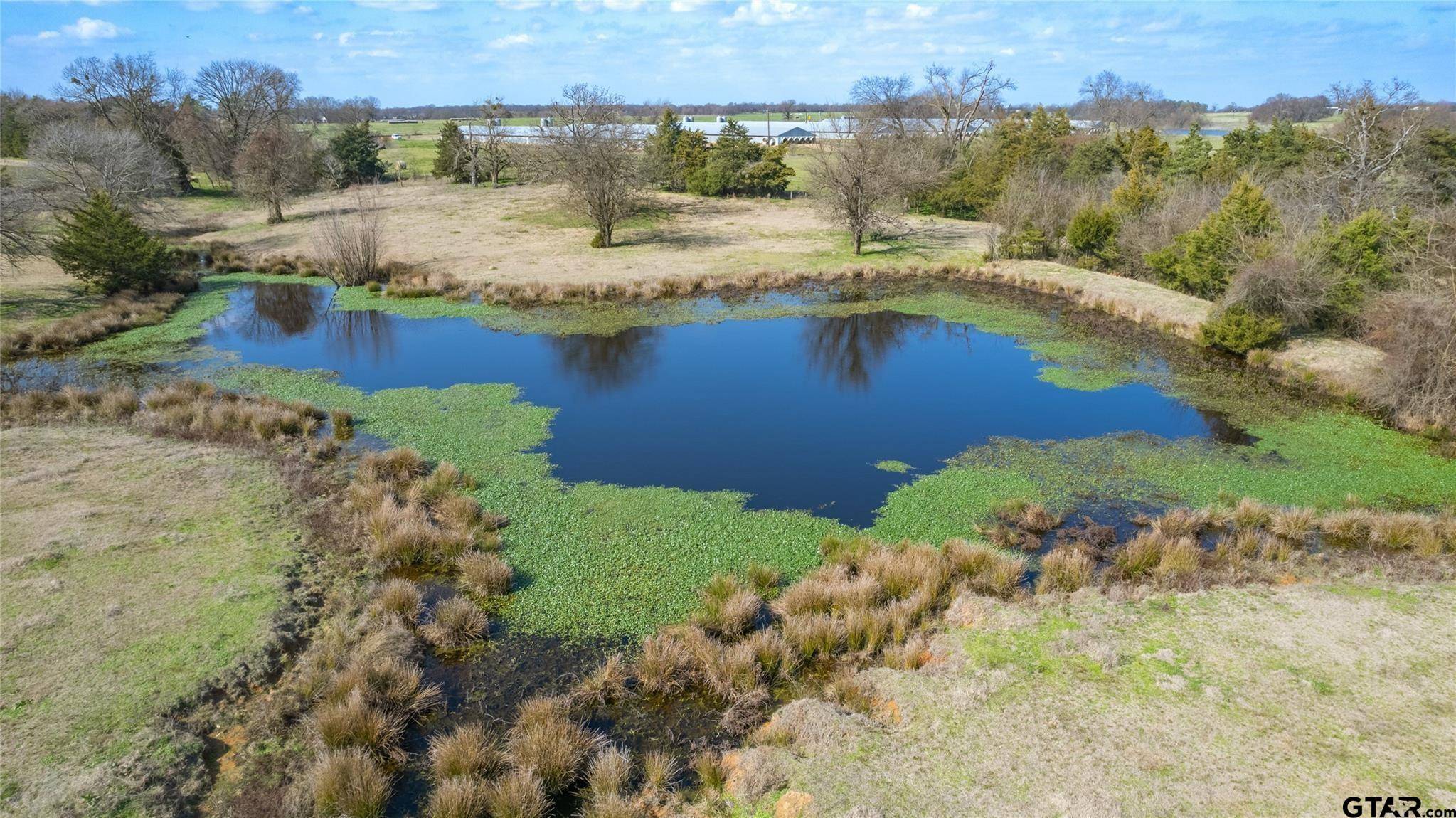 22ac Lot2A County Road 2376, Winnsboro, TX 75494