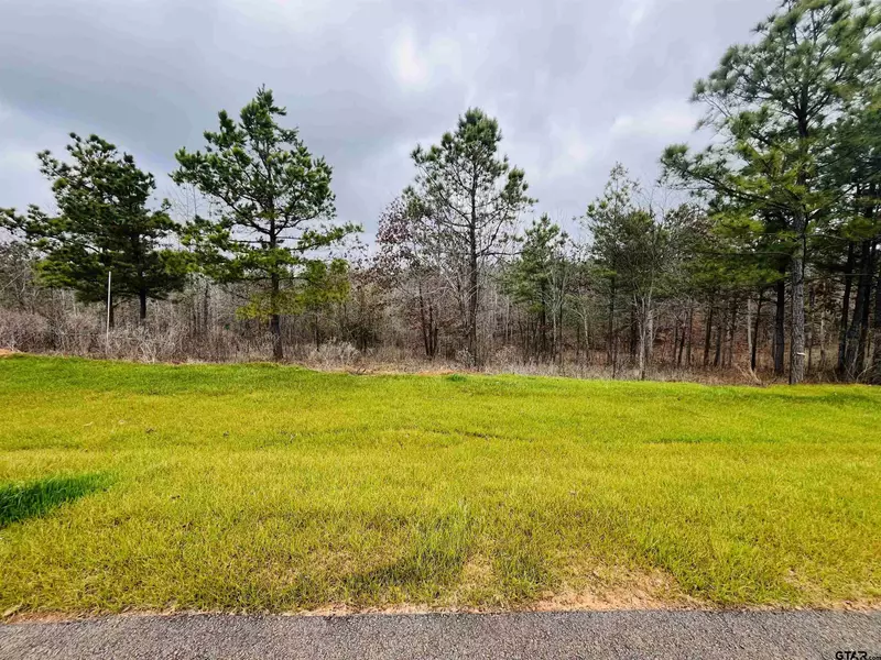 16144 W Valley View Court, Winona, TX 75792