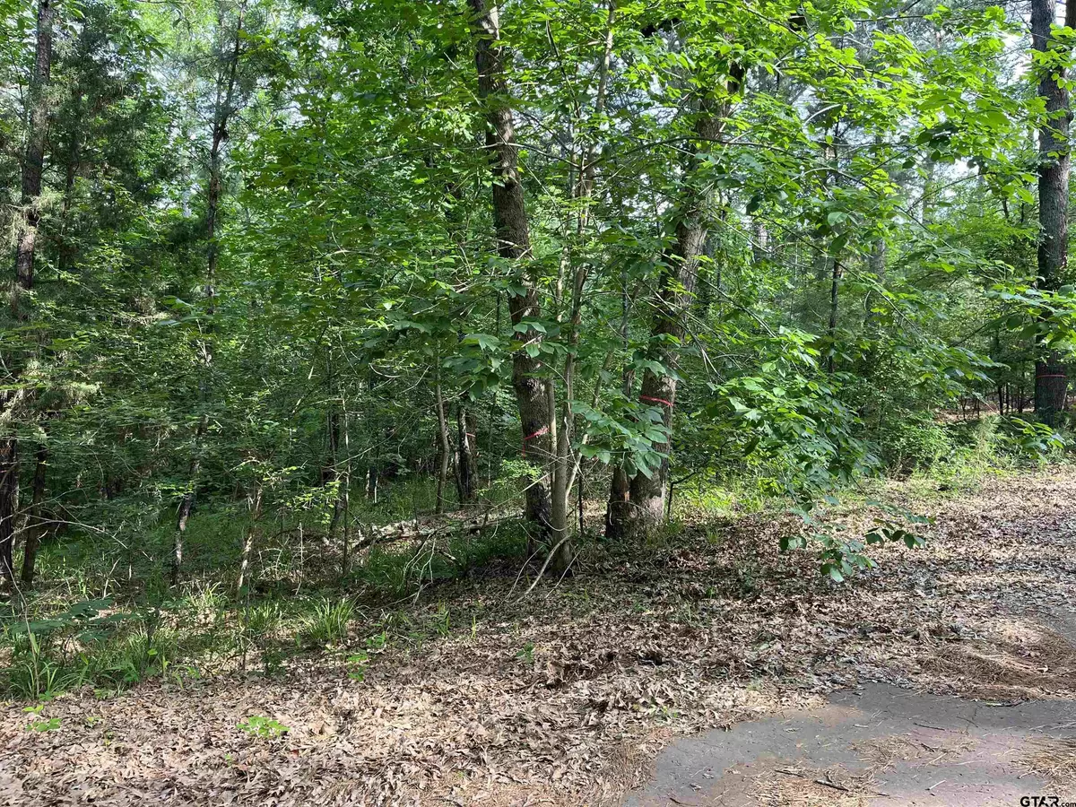 Flint, TX 75762,lot 147 Silver Oaks Dr