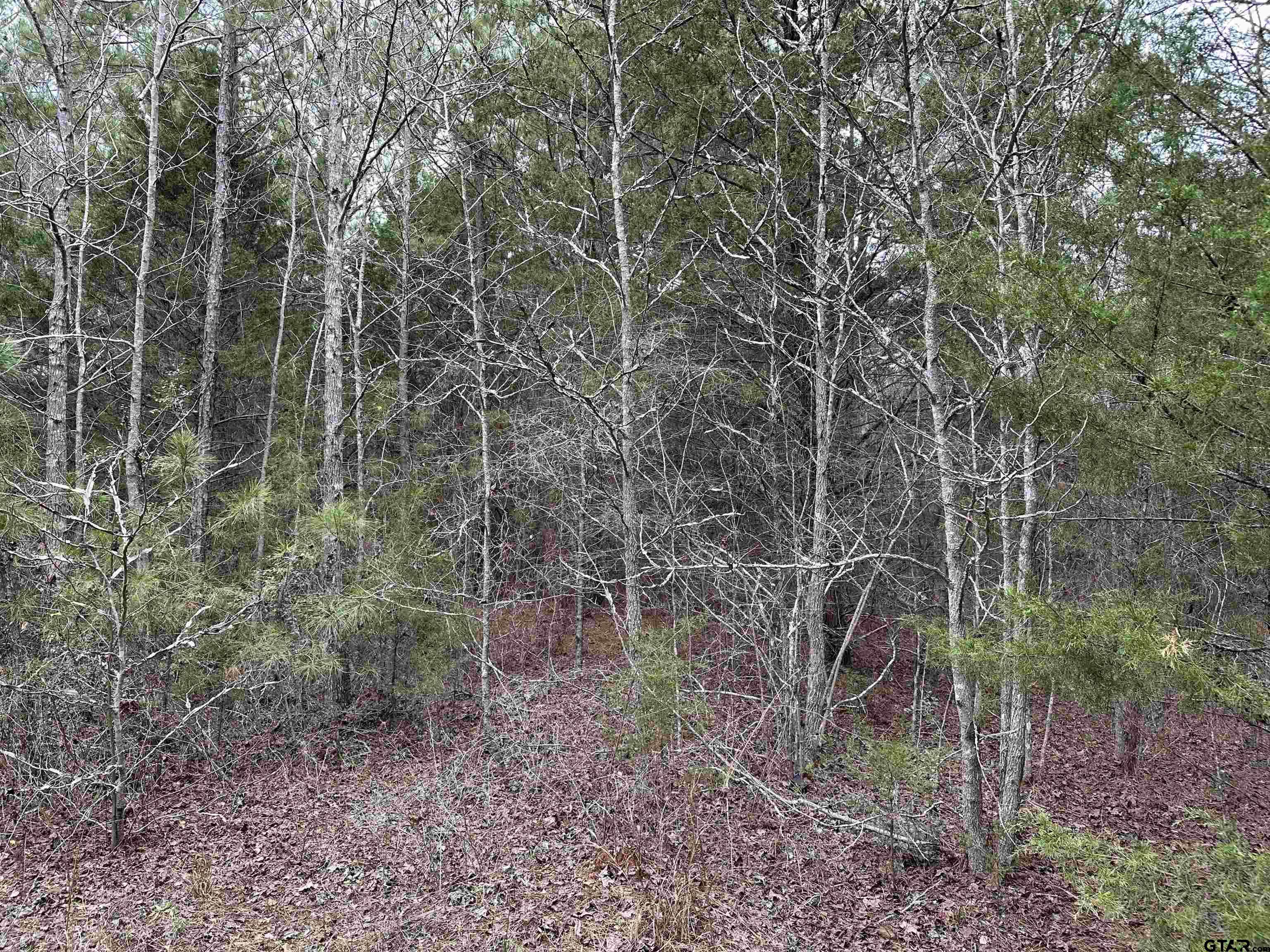 Jacksonville, TX 75766,TBD SH 204