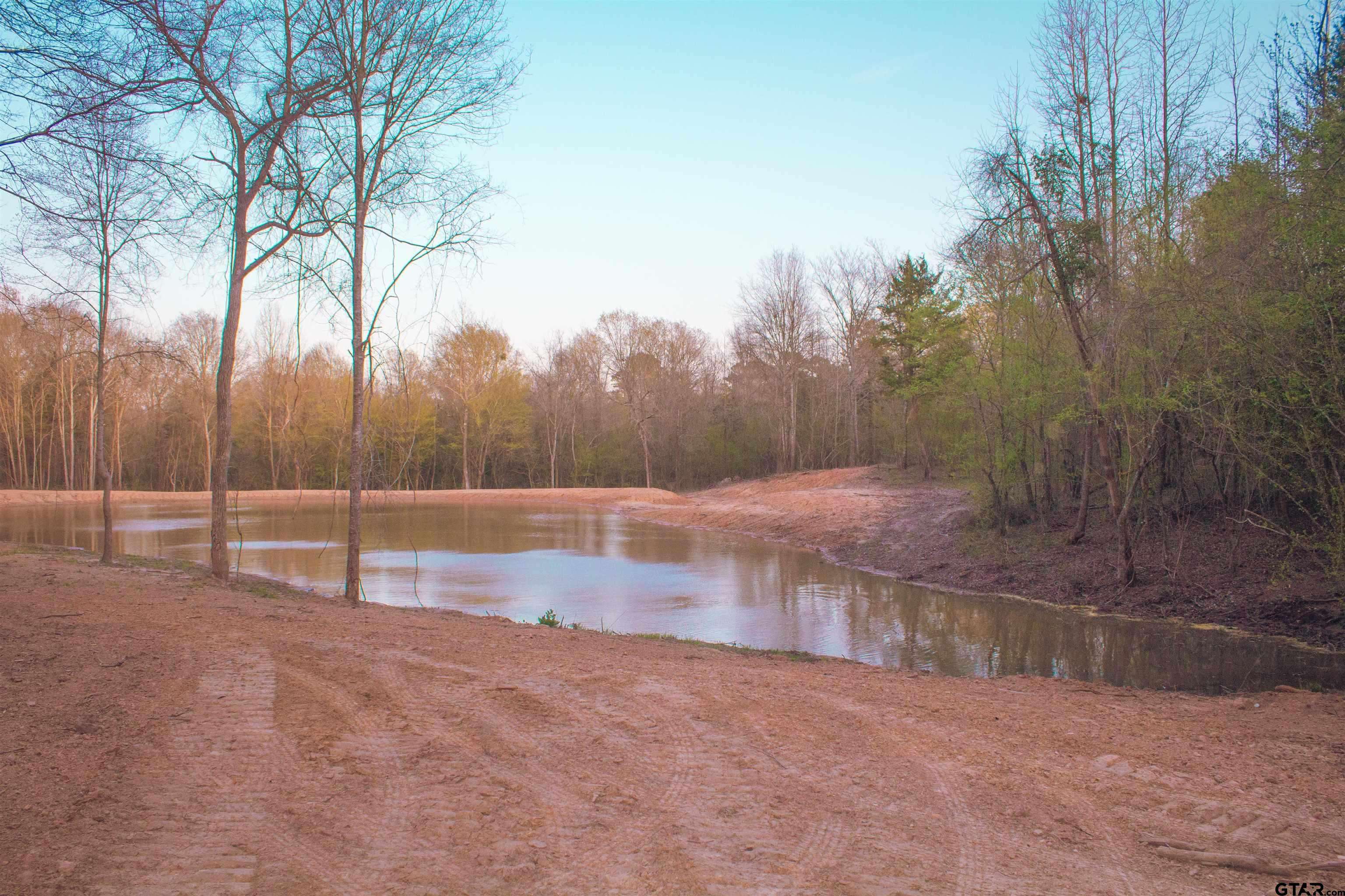 Pittsburg, TX 75686,TBD Woodchuck Rd