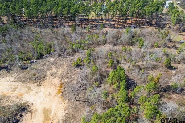 Pittsburg, TX 75686,Lot 3 Piney Ln.