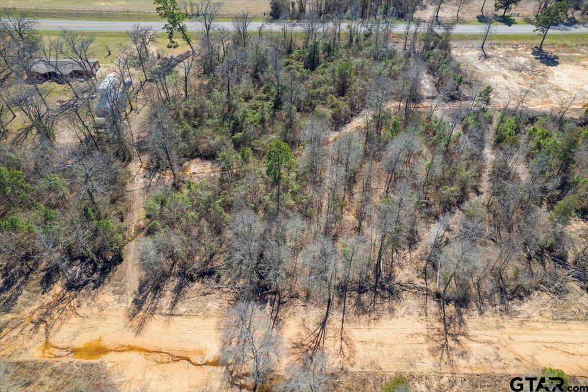Pittsburg, TX 75686,Lot 17 Hwy 11