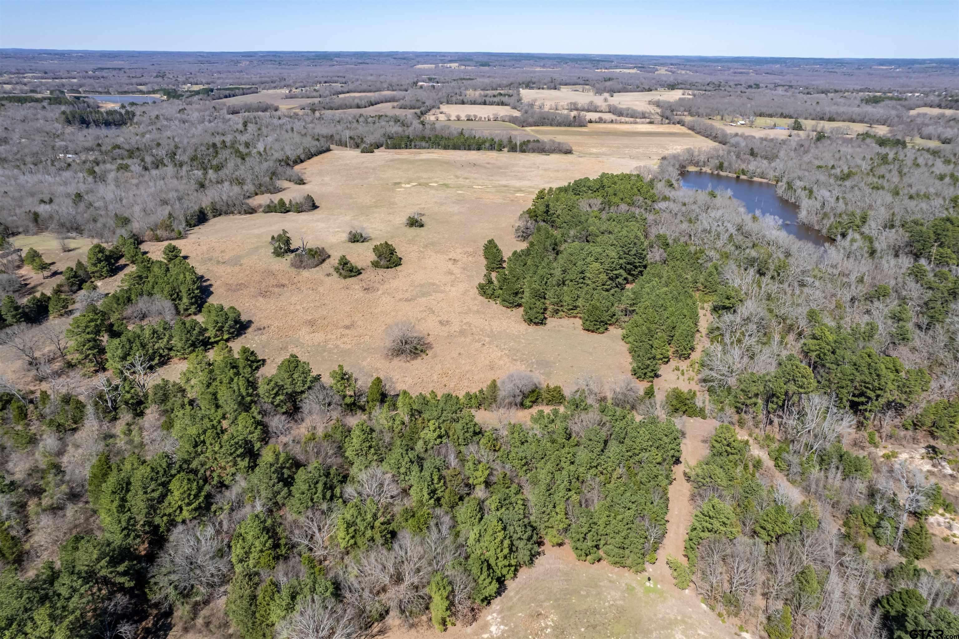 Brownsboro, TX 75756,TBD State Hwy 31