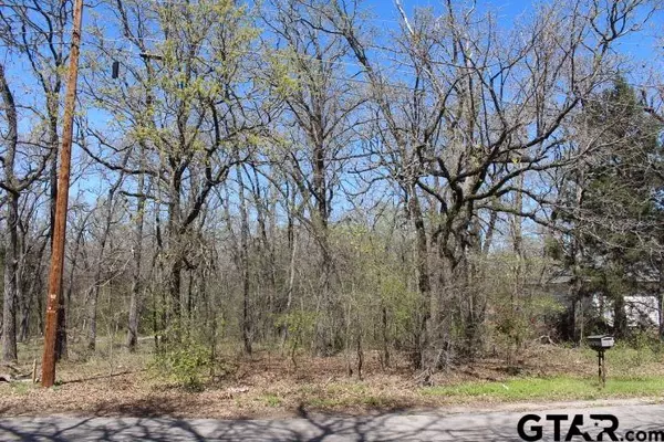 6122 Chickasaw Drive, Mabank, TX 75156