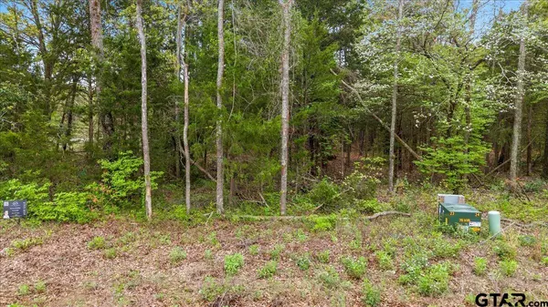 197 Private Road 6235, Mineola, TX 75773