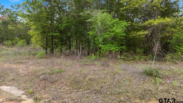 209 Private Road 6235, Mineola, TX 75773