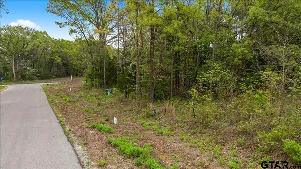 Mineola, TX 75773,222 Private Road 6235