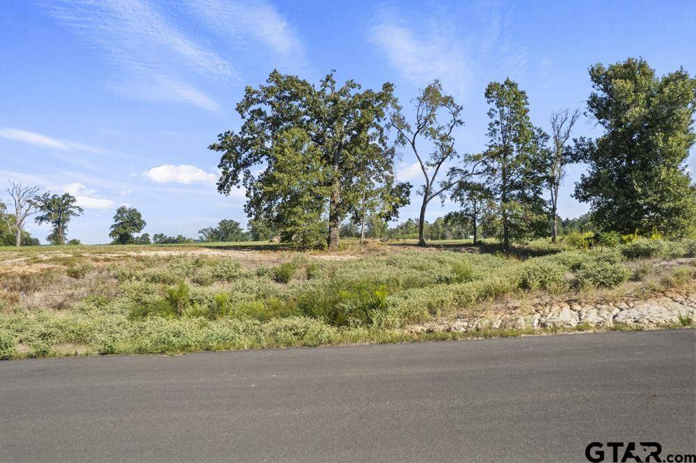 Pittsburg, TX 75686,Lot 56 Waterview Lane