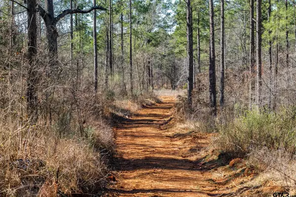 Ben Wheeler, TX 75754,TBD Hwy 64