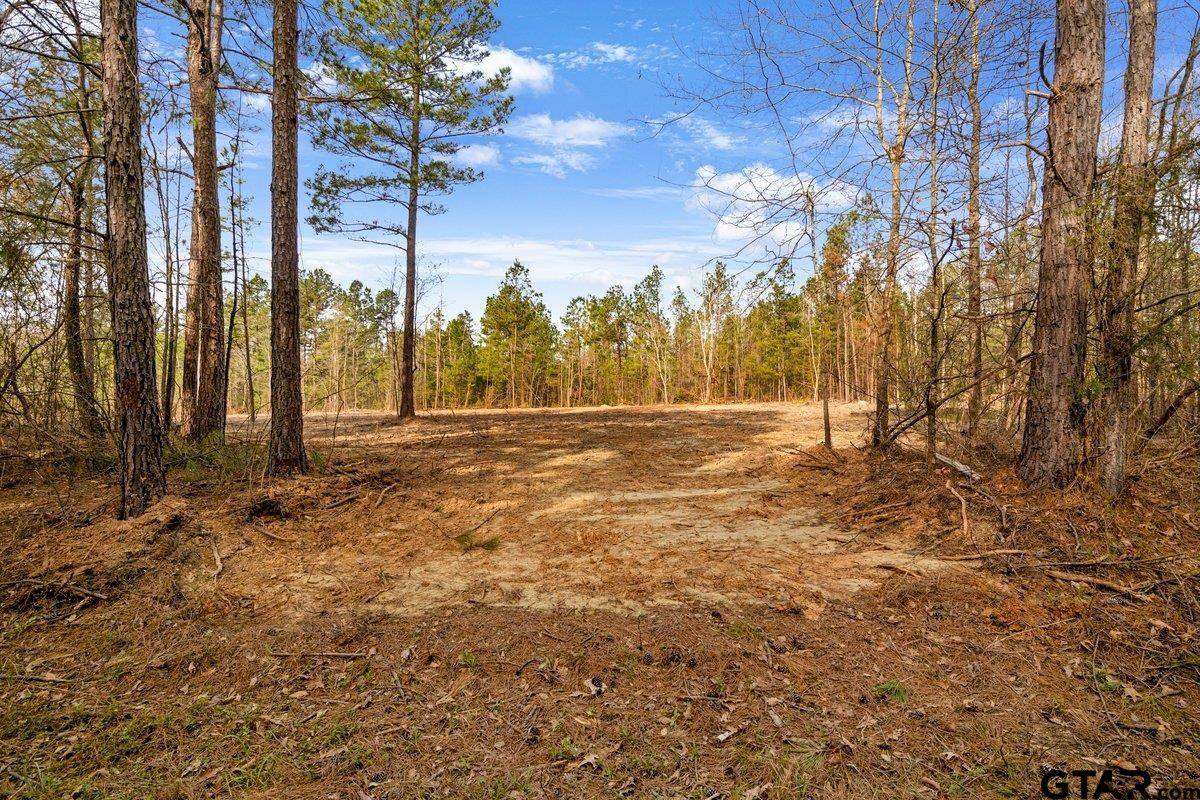 Troup, TX 75789,19140 County Road 2154 Lot 5