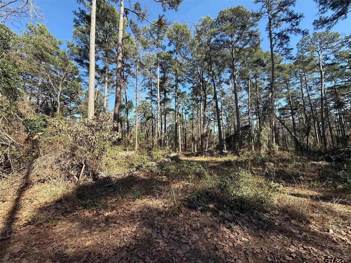 Winnsboro, TX 75494,Lot 4 Private Road 8573