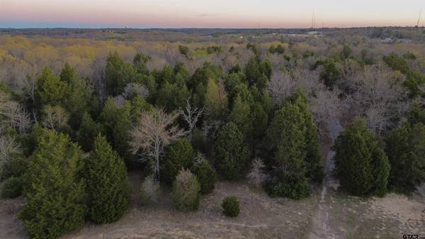 000 CR 1500, Athens, TX 75751