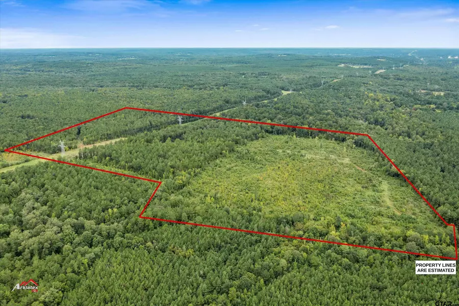TBD FM 95 (69+/- Acres), Mt Enterprise, TX 75681