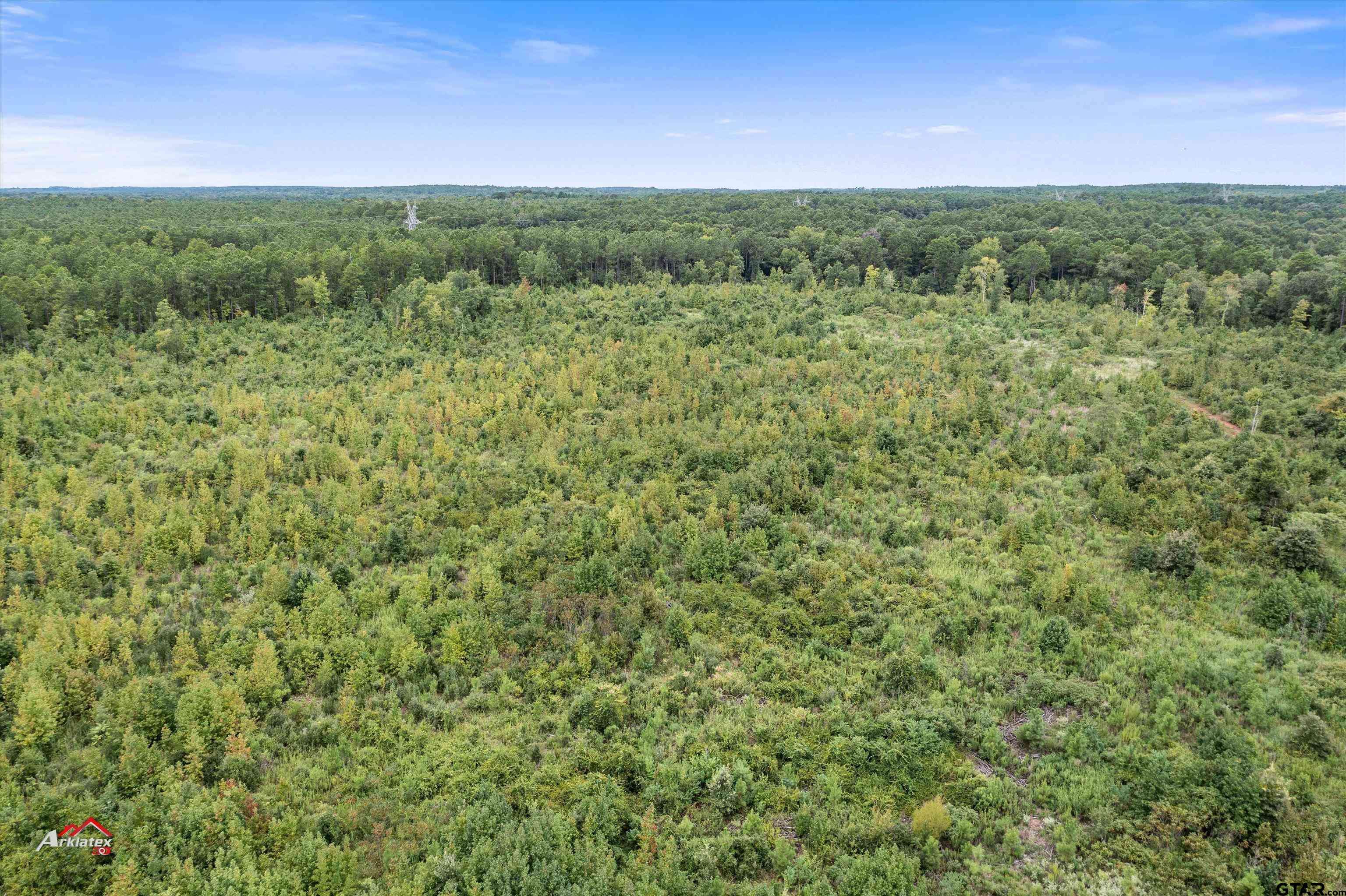 Mt Enterprise, TX 75681,TBD FM 95 (69+/- Acres)