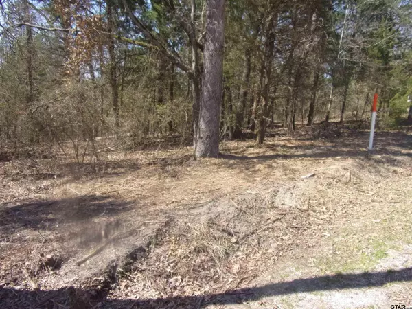 tbd Whipporwill, Murchison, TX 75778