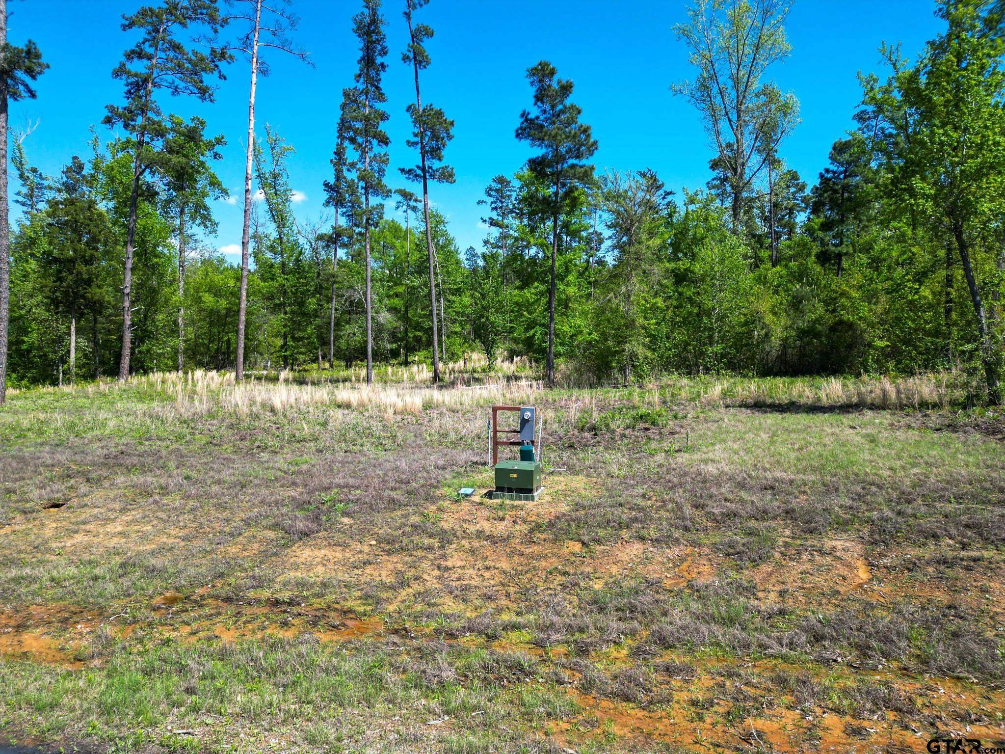 Hallsville, TX 75650,LT 53 Marble Way