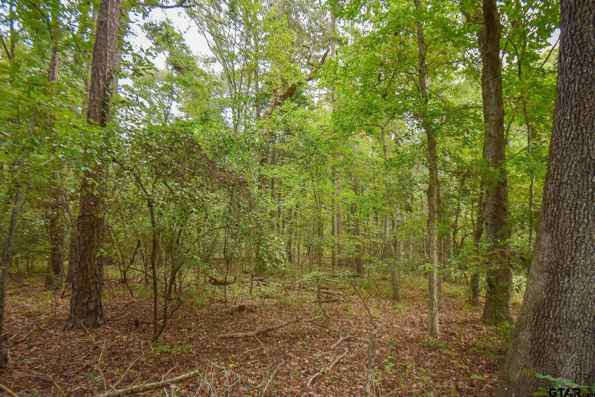 Tyler, TX 75707,TBD CR 2337 Lot 4
