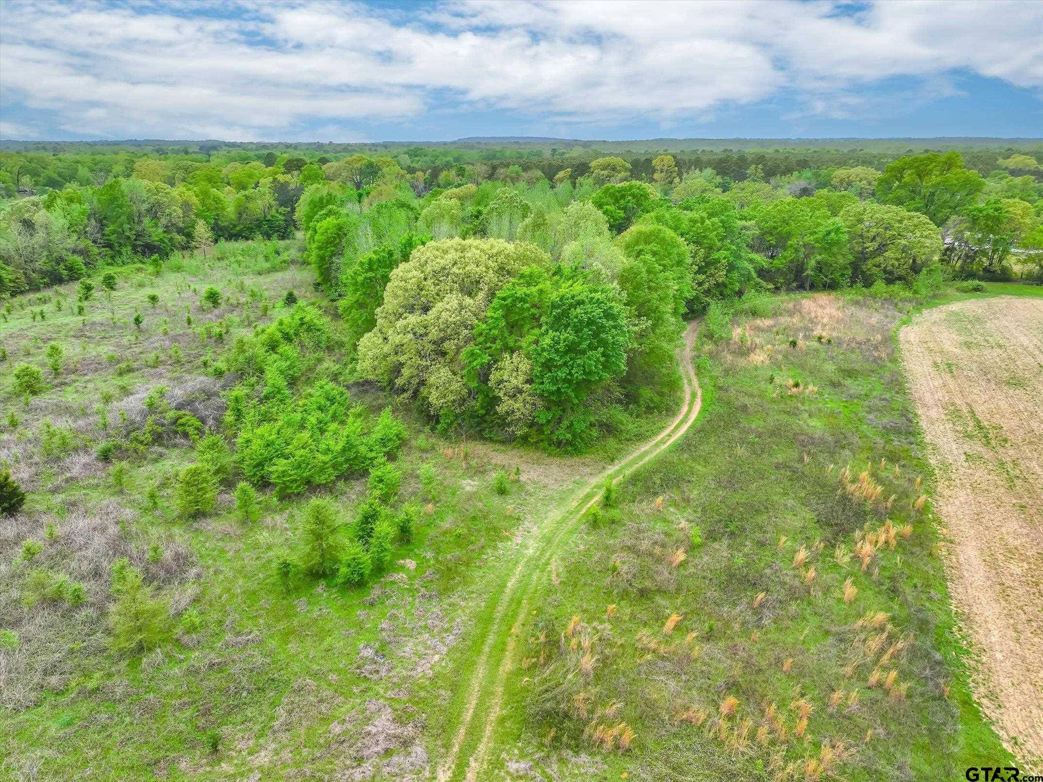 Troup, TX 75789,Parcel A TBD CR 2140
