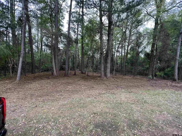 Pittsburg, TX 75686,TBD CR 2603