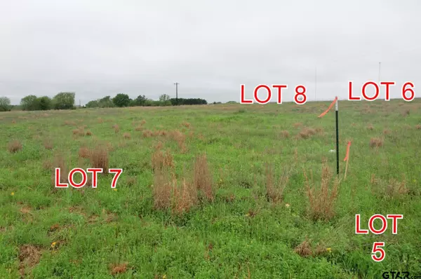 Winnsboro, TX 75494,Lot 7 County Road 4286