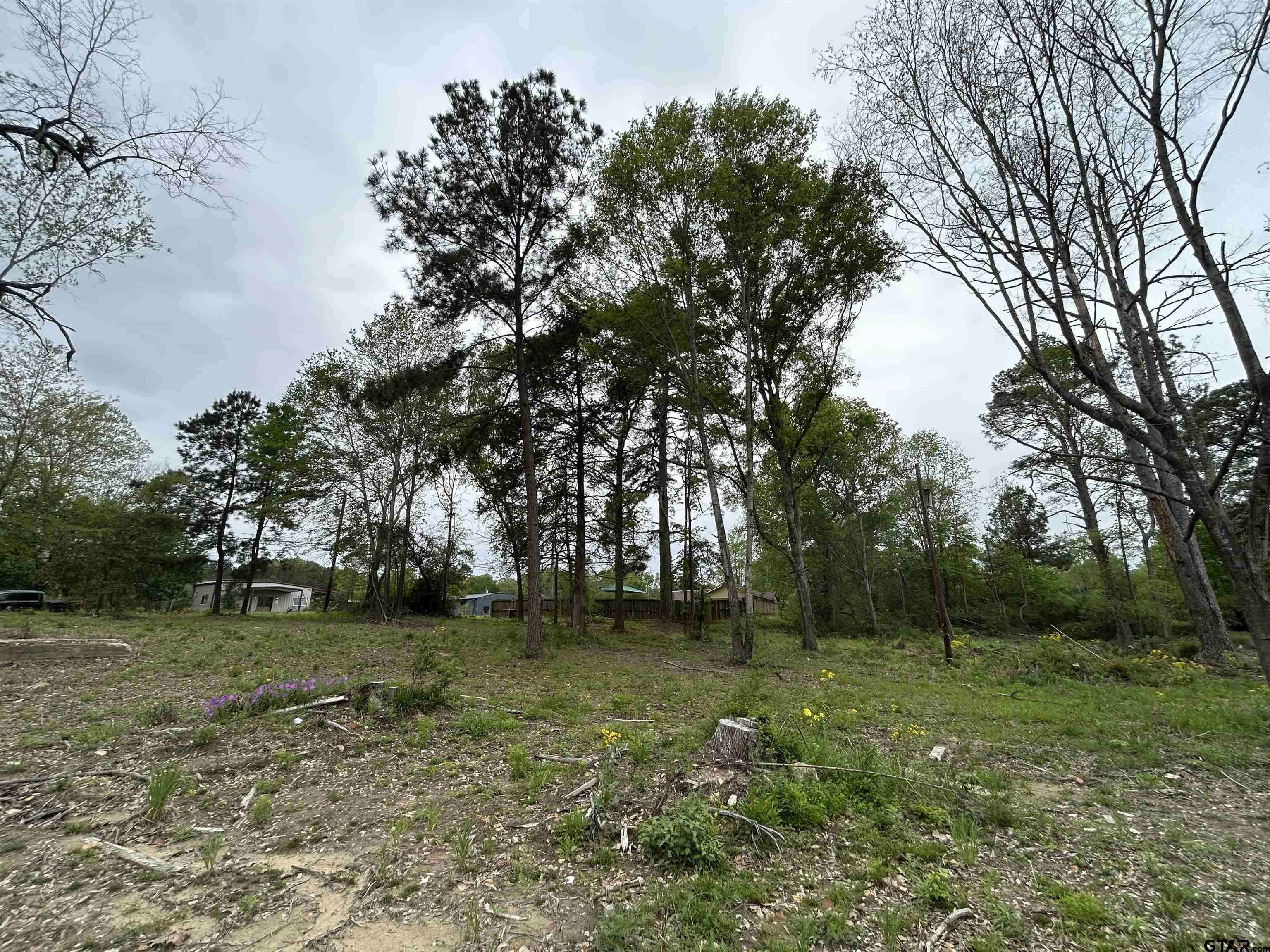 Overton, TX 75684,513 State Highway 323 E
