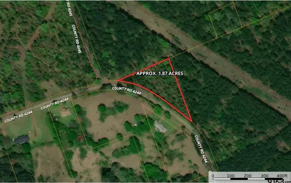 TBD CR 4244, Pittsburg, TX 75686