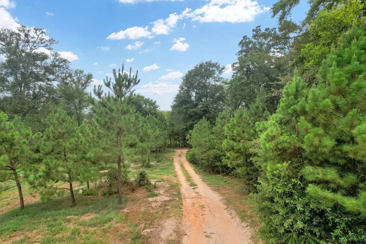 Gilmer, TX 75644,4557 Elderberry