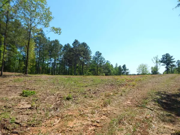 Big Sandy, TX 75755,TBD 15 ACRES FM 1795 SIDE 1