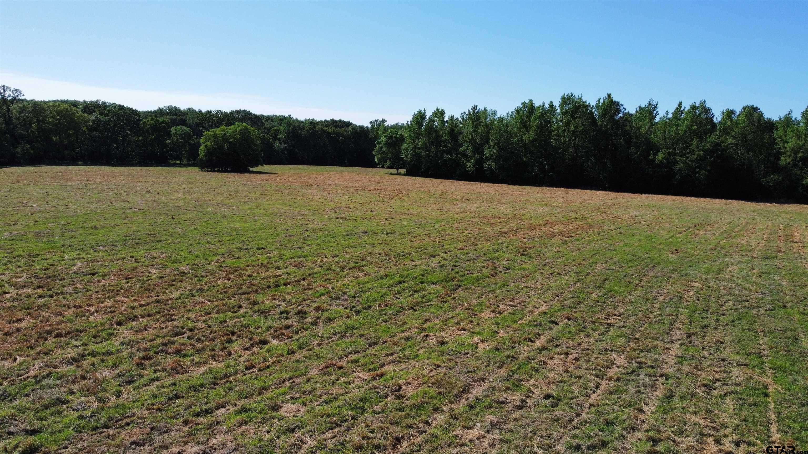 Quitman, TX 75783,TBD County Road 4930