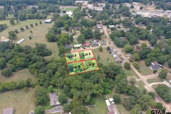 Pittsburg, TX 75686,TBD Pineland ST LOT 2 and 5