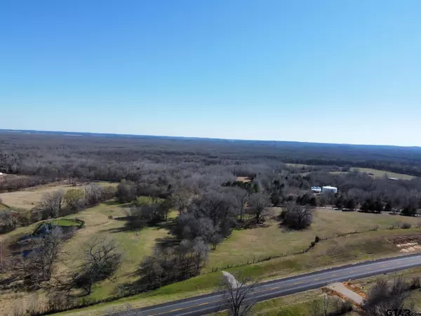 Mineola, TX 75773,LOT 7 LOOP 564