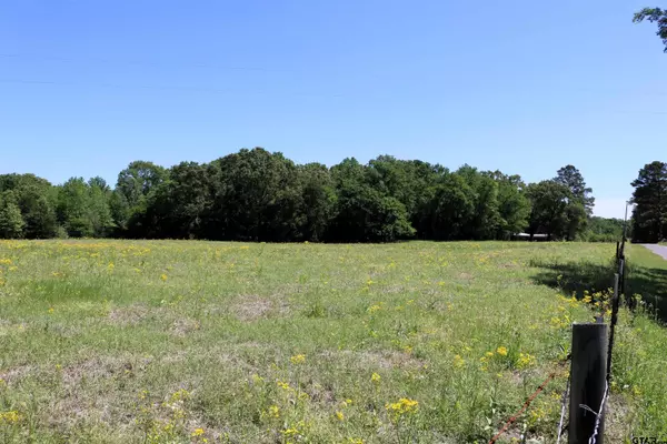 Pittsburg, TX 75686,TBD Turtle Road 40.214 Acres