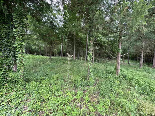 Alto, TX 75925,TBD SH 21 East