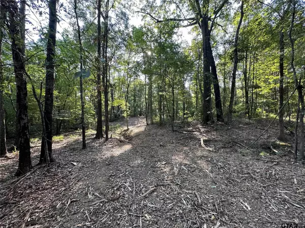 Gilmer, TX 75644,10.13 Acres FM 852