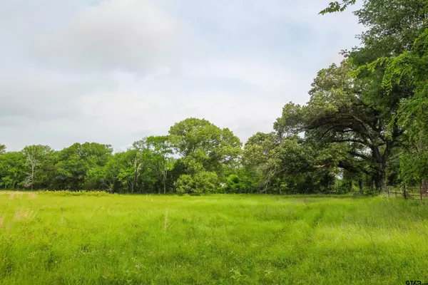 Wills Point, TX 75169,TBD VZ CR 2150