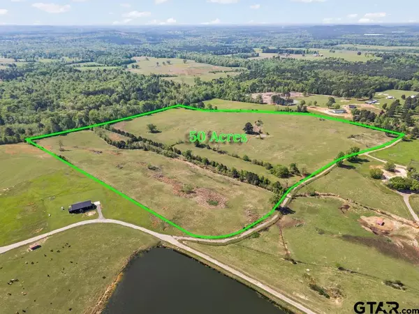 Ore City, TX 75683,TBD Wild Daisy Road 50 Acres
